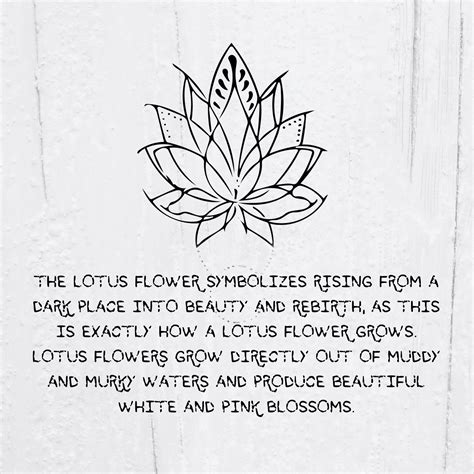 Pin By Sallad Be On Quotes Flower Tattoo Meanings Lotus Flower