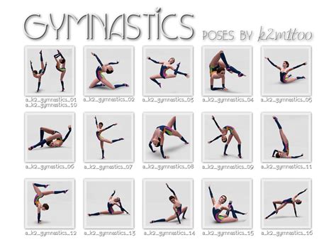 Equus Cc Database Gymnastics Poses