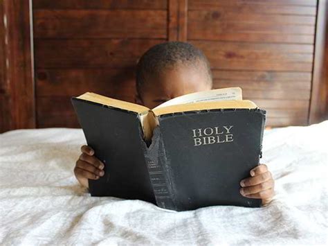 Quien Escribio Los 5 Primeros Libros De La Biblia Leer Un Libro