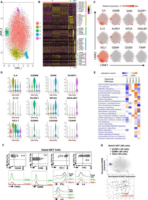 Frontiers Single Cell Rna Seq Data Analysis Reveals The Potential