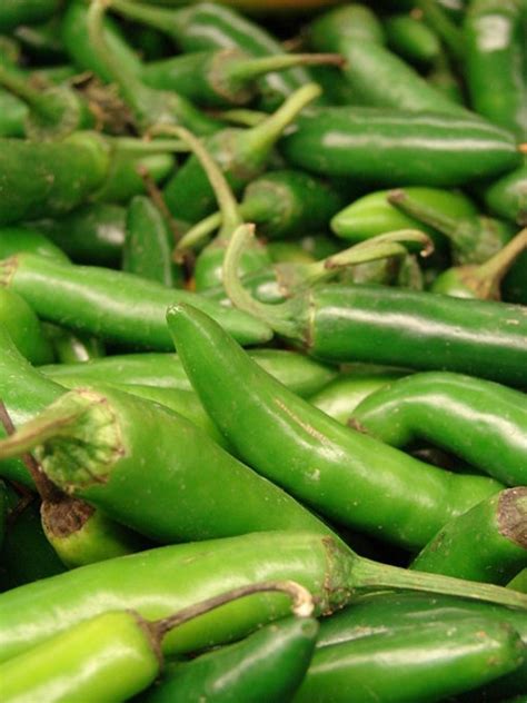 The scoville scale exists since 1912 and was invented by the american pharmacologist wilbur scoville. Ranking the World's Hottest Peppers | HubPages