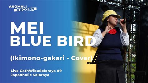 Blue Bird Mei Ikimono Gatari Cover Youtube