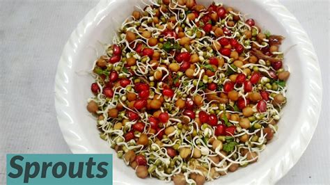 Sprouts In Telugu Youtube