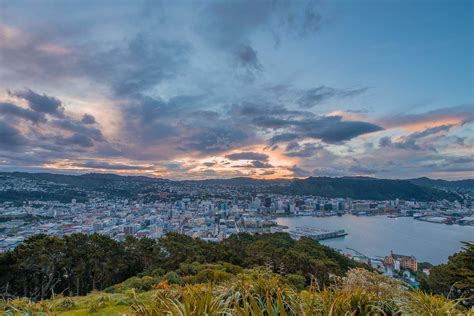 The 16 Best Things To Do In Wellington New Zealand 2019 Travel