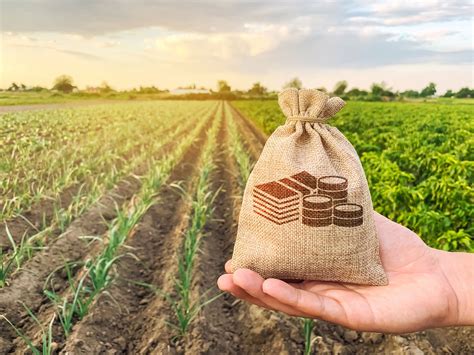 Agricultural Commodity Standards And Grades Naymat Collateral