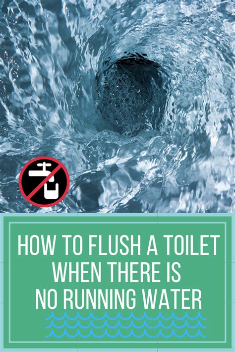 So knowing a toilet tank's anatomy is kind of important. No Water? No Problem! | Flush, Toilet, Bathroom