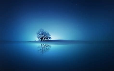Blue Reflections Hd Creative 4k Wallpapers Images Backgrounds