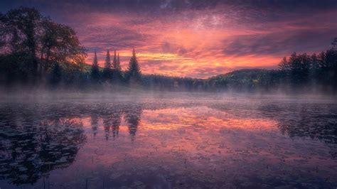 Lake Around Trees With Fog Under Purple Cloudy Sky During