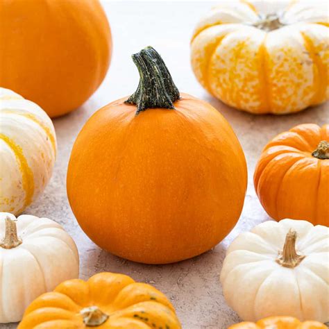 5 Health Benefits Of Pumpkin Jessica Gavin