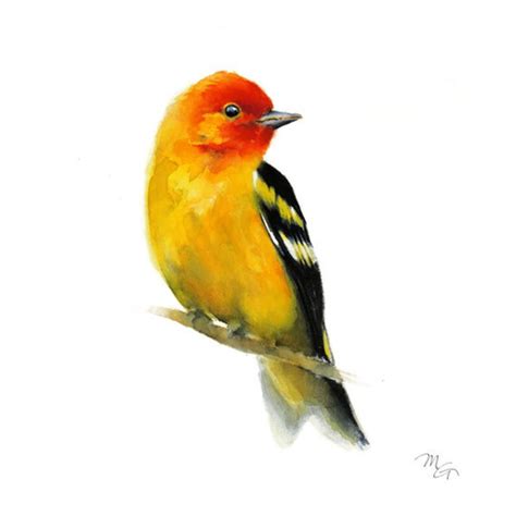 Colorful Bird Watercolor Painting Western Tanager Print Etsy