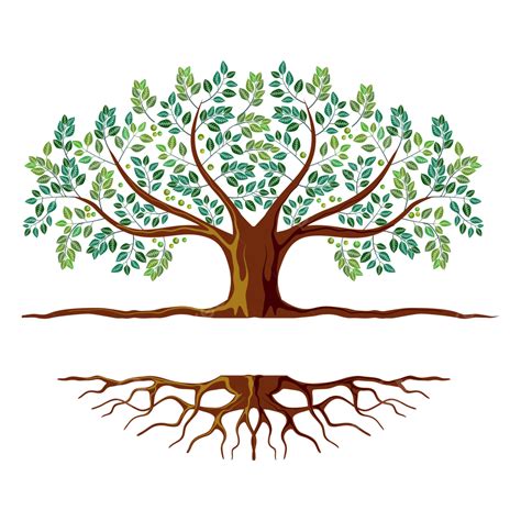 Tree With Roots Clip Art Free