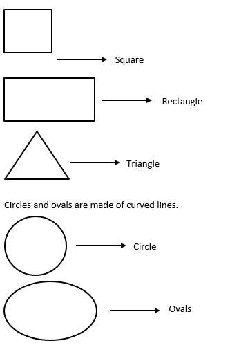 Worksheet Solid Shapes Circle The Objects With The Matching Solid
