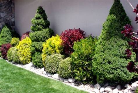33 Wonderful Evergreen Landscape Ideas For Front Yard Exciting Room