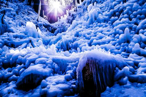 Wallpaper Snow Winter Blue Ice Frost Freezing Formation Flower
