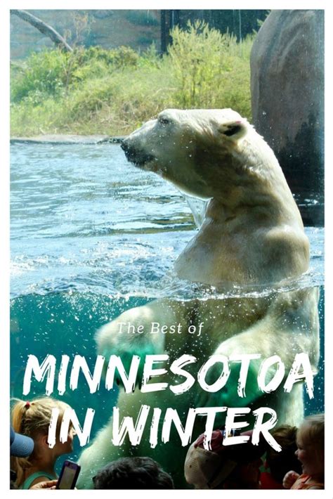 You Wont Believe All The Fun Things To Do In Minnesota This Winter