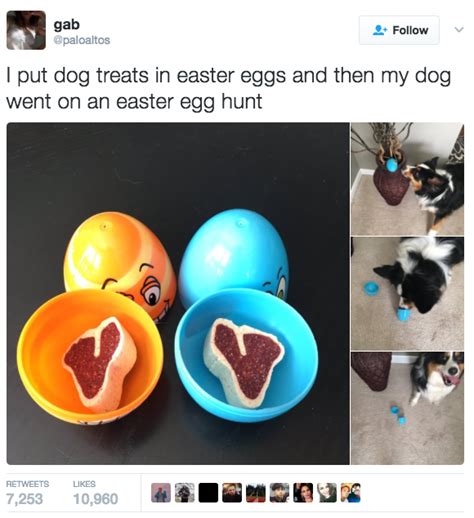 An Easter Egg Has Been Put In The Shape Of A Dogs Head