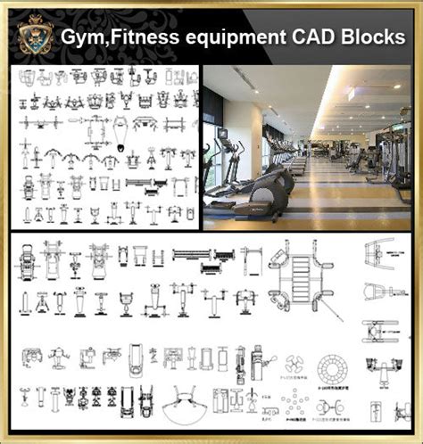 Gymfitness Equipment Cad Blocks Bundle Stadiumgymnasium Playground