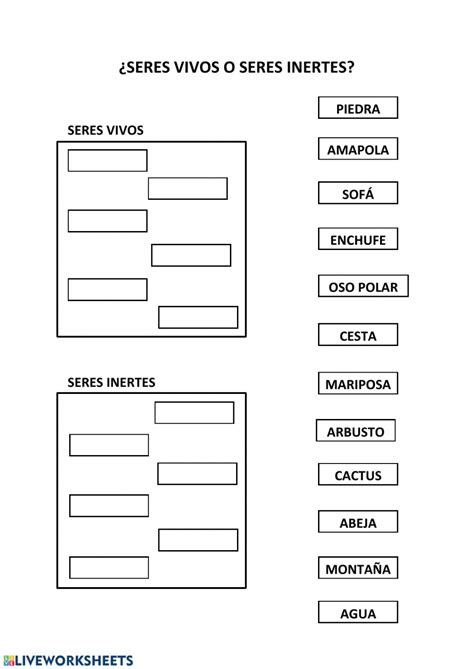 Ejercicio De Seres Vivos Seres Inertes