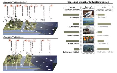 Seawater Intrusion Introduction Causes Measures And Research Scope