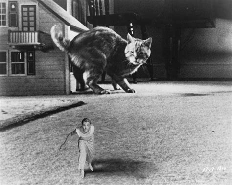 The Incredible Shrinking Man 1957 Čsfdsk