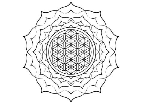Flower Of Life Yantra Mandala In The Lotus Flower Sacred Geometry