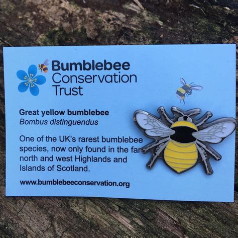 Great Yellow Bumblebee Badge Bumblebee Conservation Trust