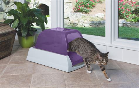 Pet odor and stain removers : Amazon.com : ScoopFree Ultra Self Cleaning Litter Box ...
