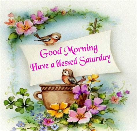 Good Morning Have A Blessed Saturday Pictures Photos And Images For