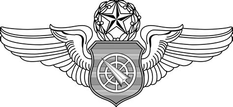 Air Battle Manager Badge