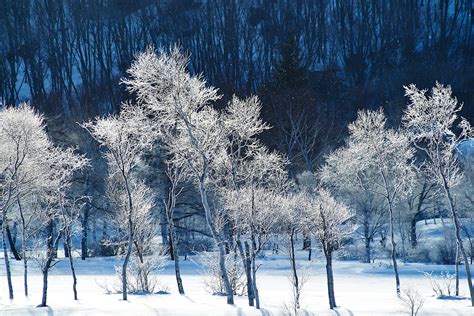 hiver, Neige, Montagne, Snow, Nature, Landscapes, Frozen, Winter ...