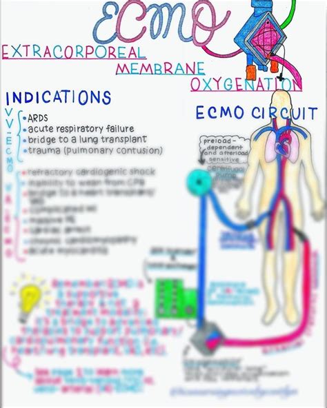 Extracorporeal Membrane Oxygenation Ecmo Etsy Membrane Nursing