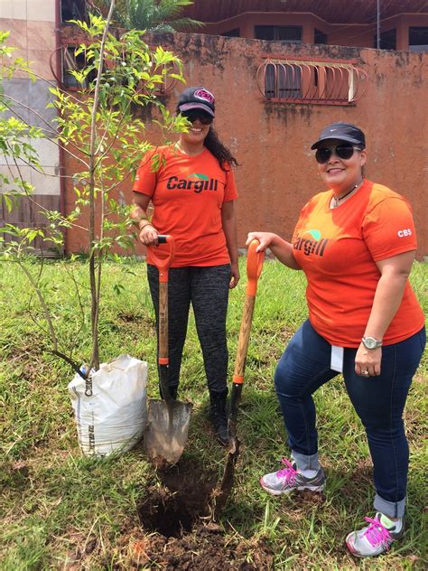 Voluntarios De Cargill Sembraron árboles En Parques De Belén