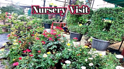 Nursery Visitflowering Plants Nurserygreen Garden Gujarat Youtube