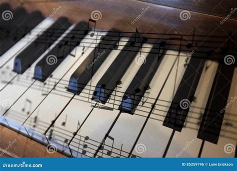 Old Vintage Piano Keys Ebony Ivory Black White Stock Photo Image Of