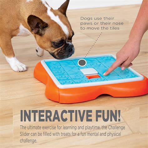 Challenge Slider Dog Puzzle Game Nina Ottosson Treat Puzzle Games