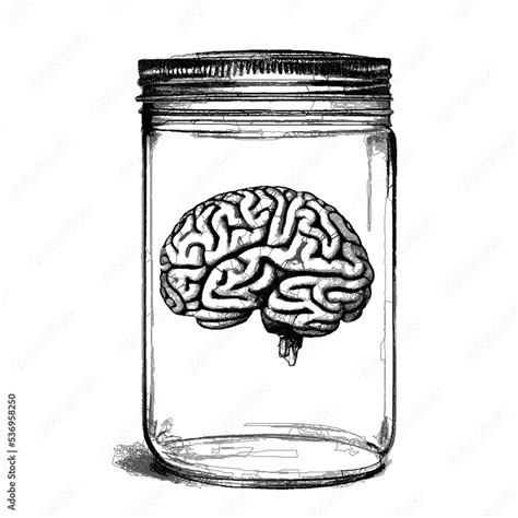 Human Brain In A Jar Doodle Sketch Vector Illustration Isolated On