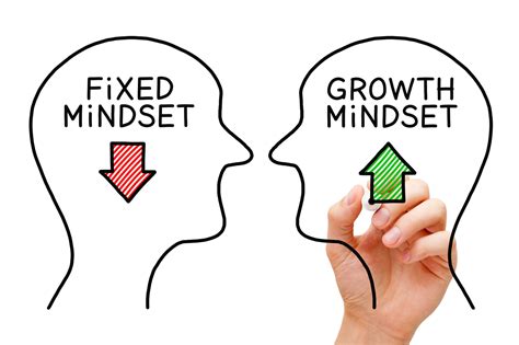 Growth Mindset และ Fixed Mindset คือ อะไร Thepractical