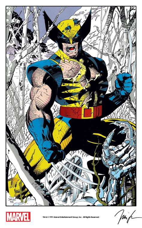 Wolverine By Jim Lee 1991 The Marvel Project