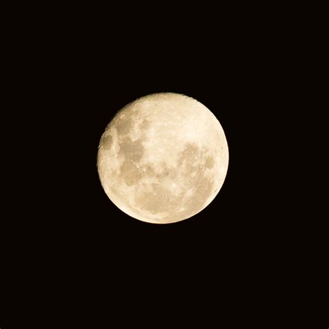 Full Moon November 2022 On Behance