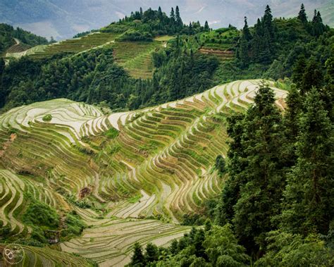 The Complete Guide To Visiting The Longji Rice Terraces Guilin