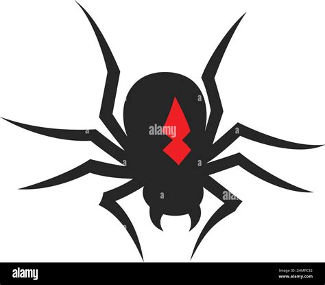 Black Widow Spider Simple Design Stock Vector Image And Art Alamy