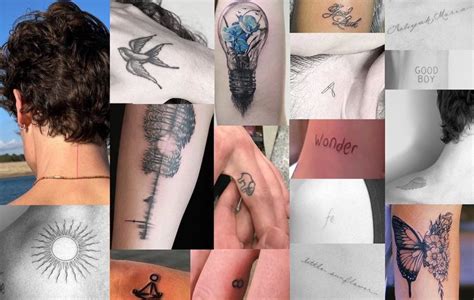 Conhe A Os Desenhos E Significados De Todas As Tatuagens Do Shawn Mendes Shawn Mendes Brasil
