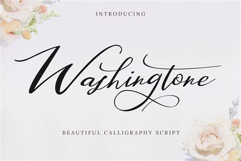Washington Beautiful Calligraphy Script Font Dafont Free