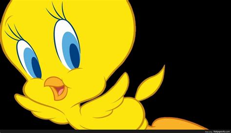 Cute Tweety Bird Wallpaper Hd Wallpapers Download Cool And Funny