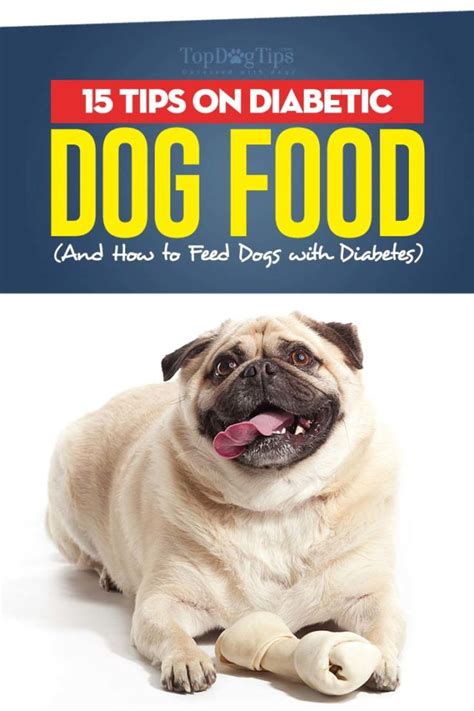 Diabetic dog food is not only available on the market. 15 Tips on Diabetic Dog Food and How to Feed Dogs with ...
