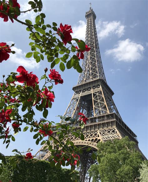 Eiffel Tower Through The Trees Smithsonian Photo Contest