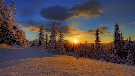 We would like to show you a description here but the site won't allow us. Paysage enneigé - 1920x1080 - Fond d'écran HD