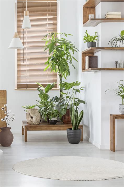 Botanical Decor Livingroom Idea Scandinavian Living Nordic Style