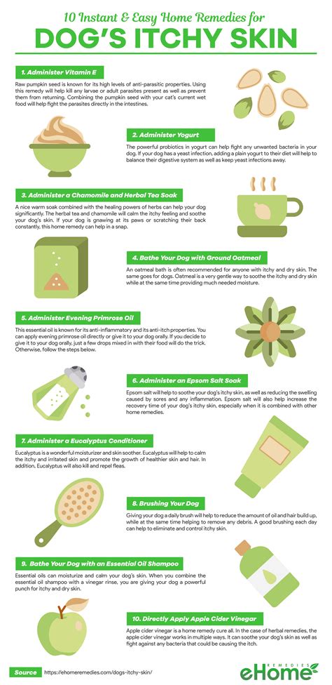 Natural treatment for dog allergy, cough, stomach upset, autoimmune disease. Home Remedies for Dogs Itchy Skin Infographic | Itchy dog ...