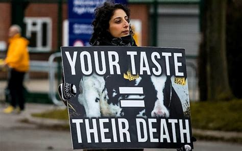 Its Not Meat Eaters That Need A Morality Check Its Vegans